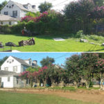 Vegetation and Fence-line Cleanup